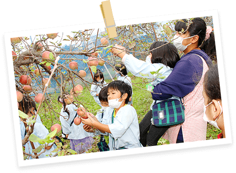 11月の行事画像